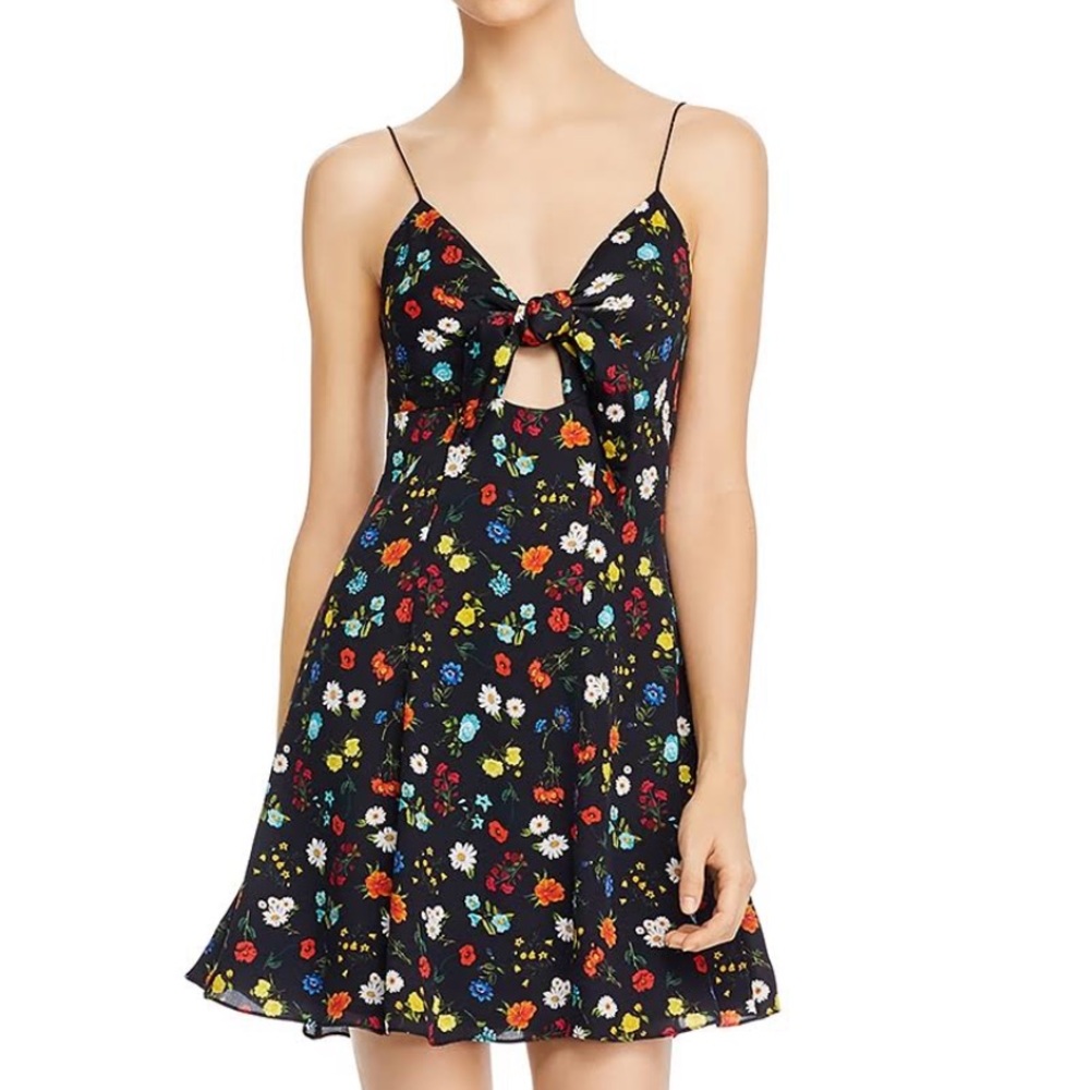 Alice and Olivia floral dress